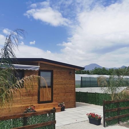 Vesuvius Chalet Relax Apartment Boscoreale Exterior photo