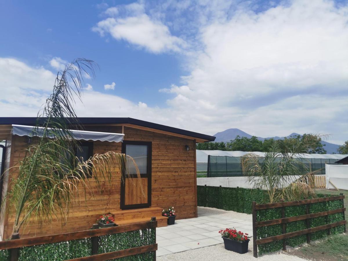 Vesuvius Chalet Relax Apartment Boscoreale Exterior photo